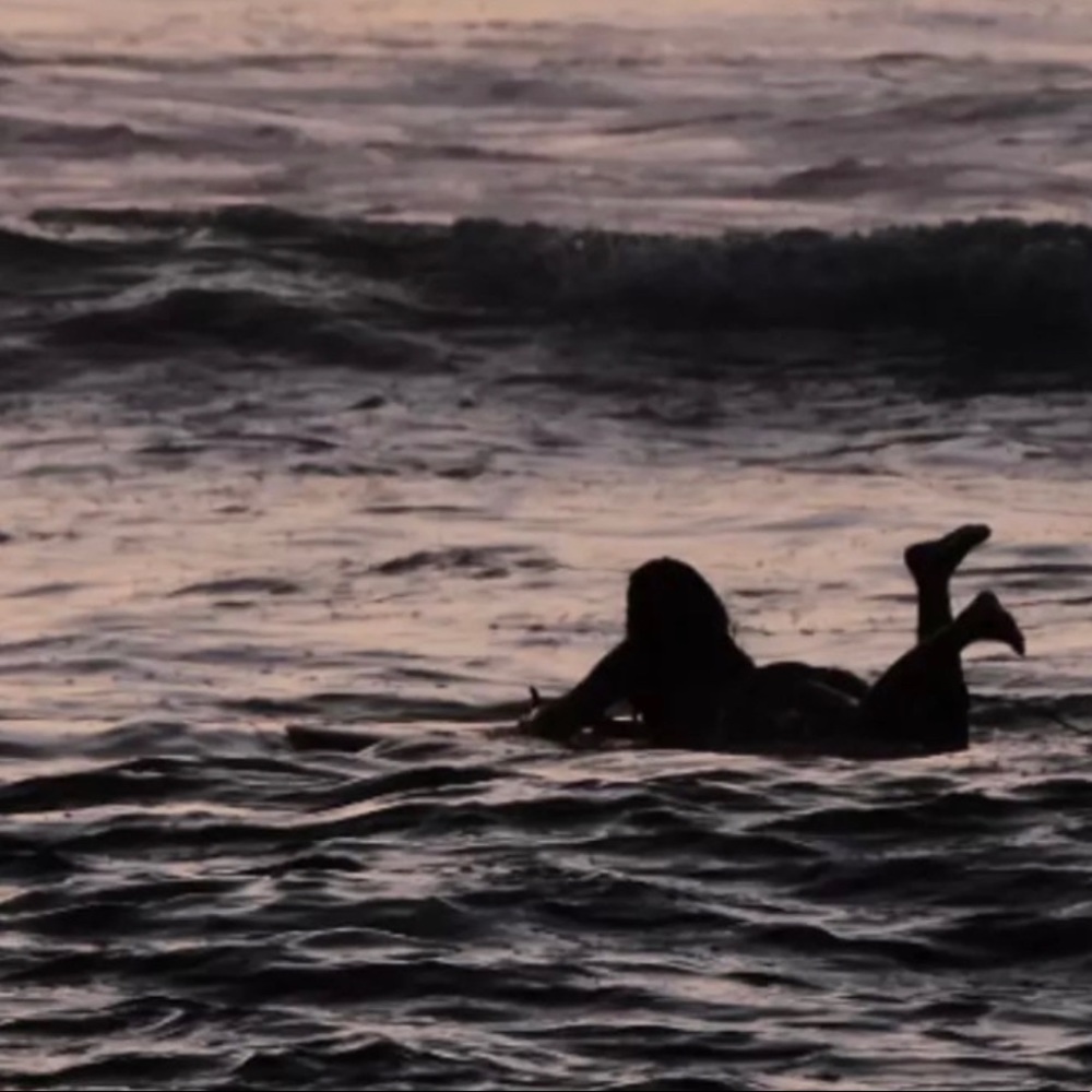 Meet your Posher, Lyla